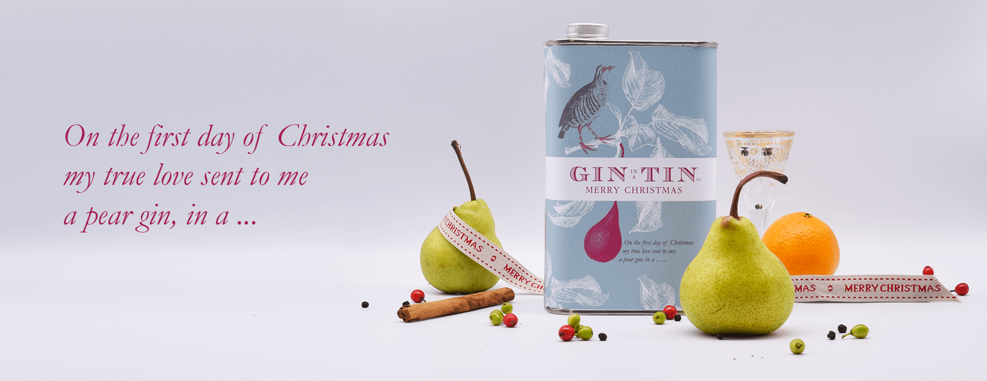 Gin In A Tin - Christmas Gin 2022